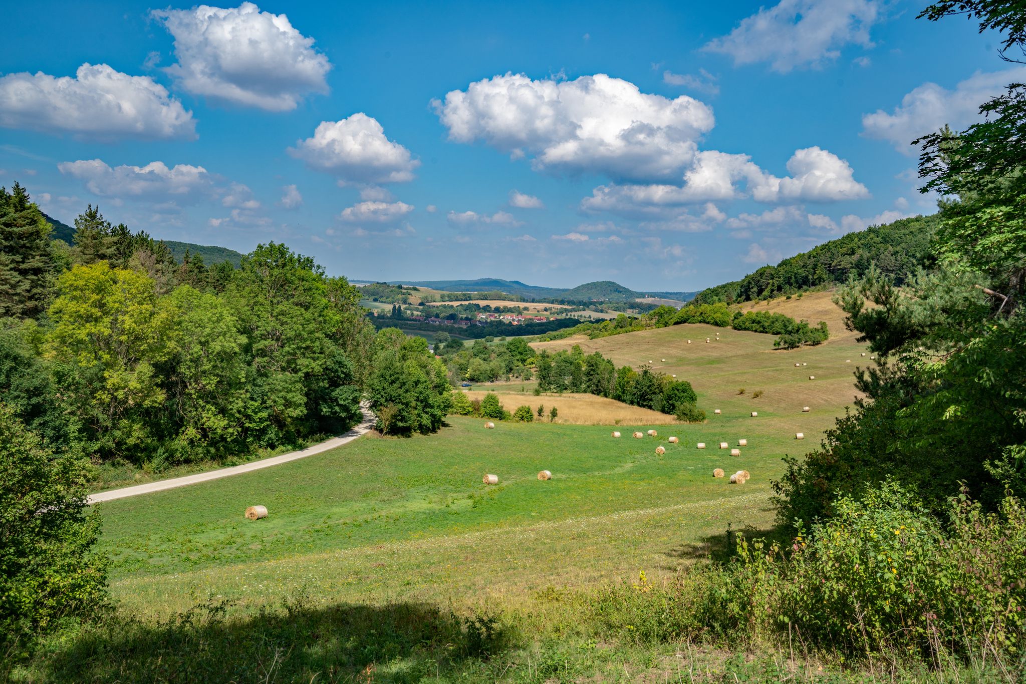 Schönhagen