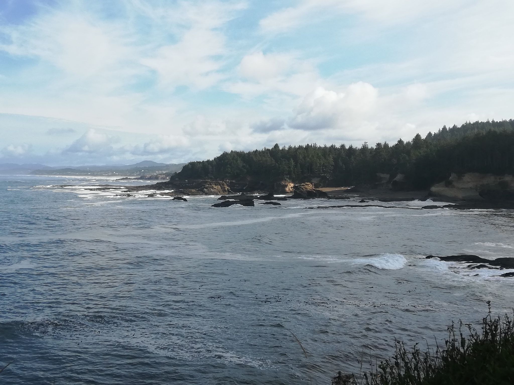 Dark ocean waves crash against a rugged, forested coastline under a cloudy sky. - Devils Punch Bowl – Depoe Bay loop from Newport