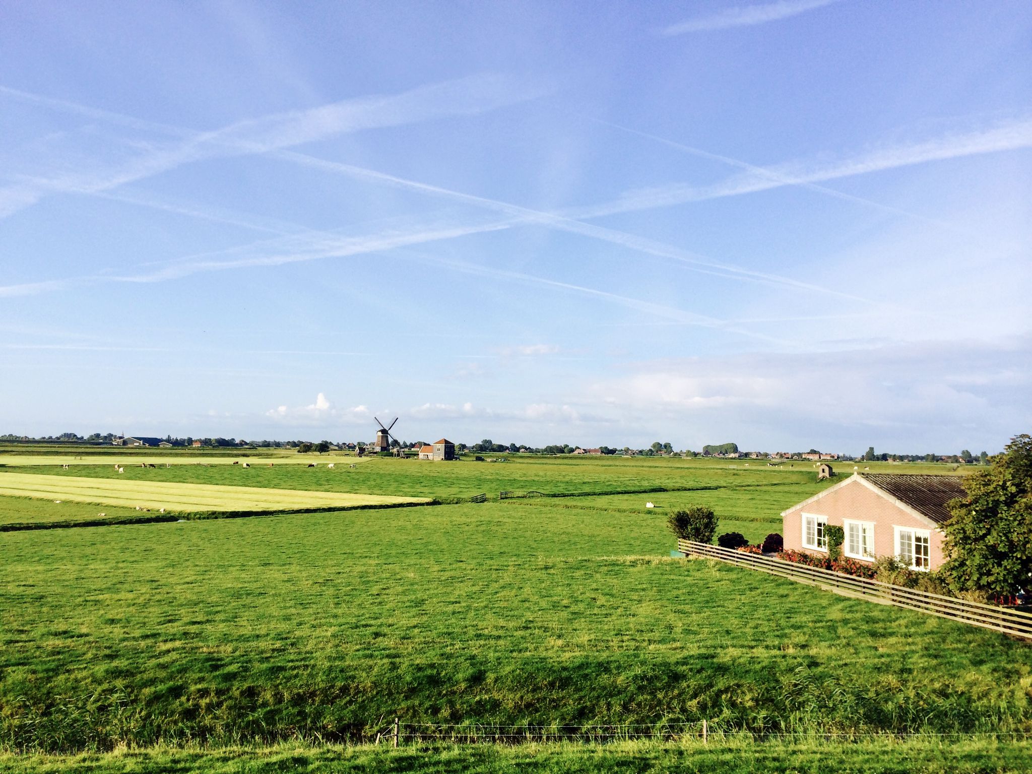 Springtime in full swing in The Netherlands!