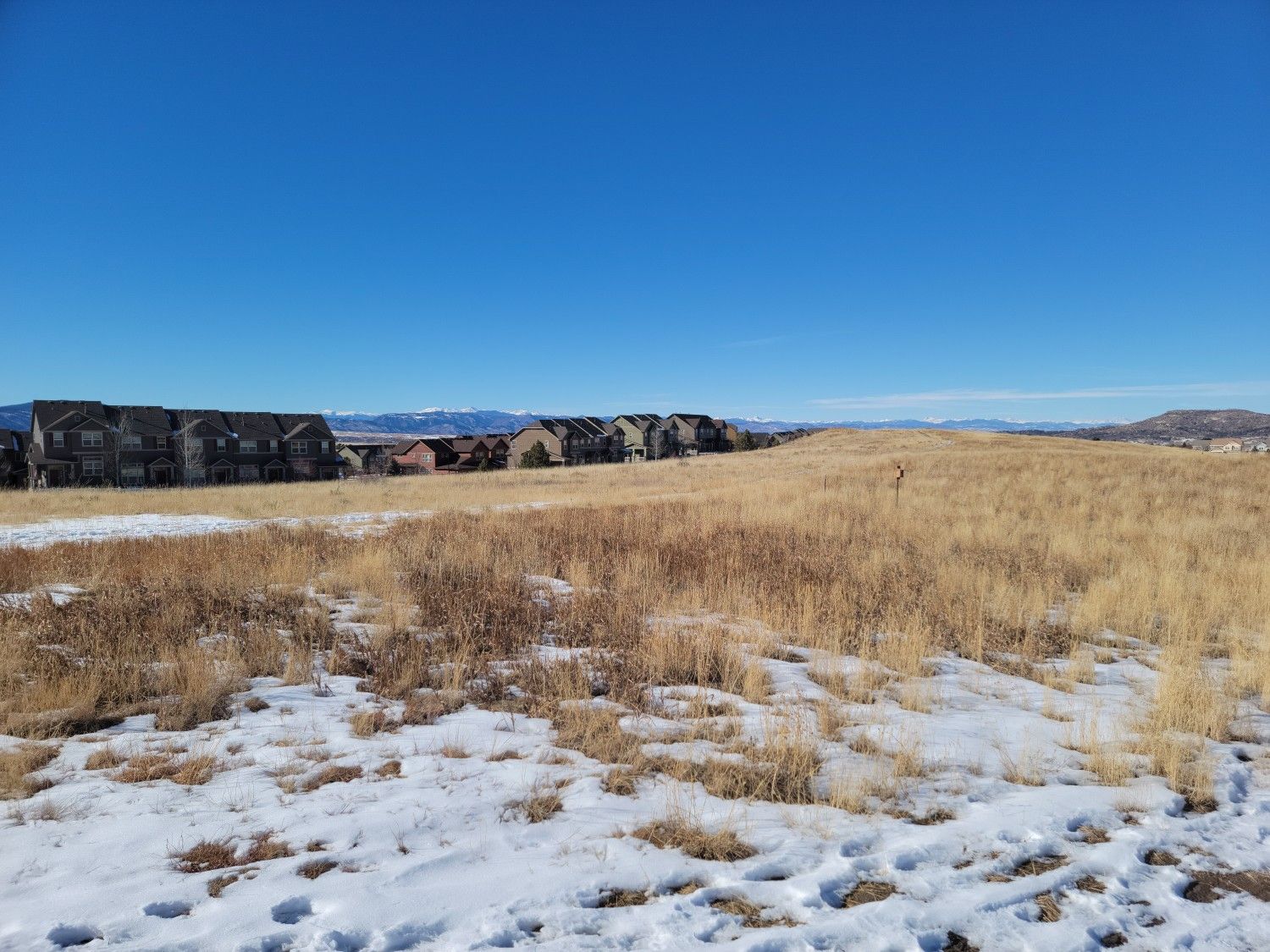 Sunny field with dry grass and snow patches, houses in the distance. - Native Legend Trail & Ridgeline Open Space Trails loop