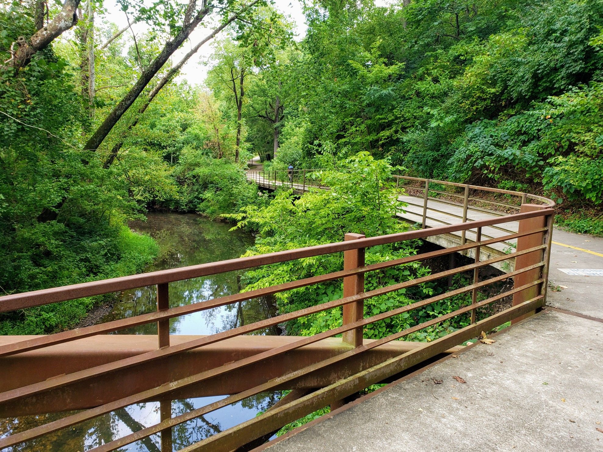 A curved wooden bridge with metal railings spans a stream in a green forest. - Clear Creek – Lake Fayetteville Trail loop from Springdale