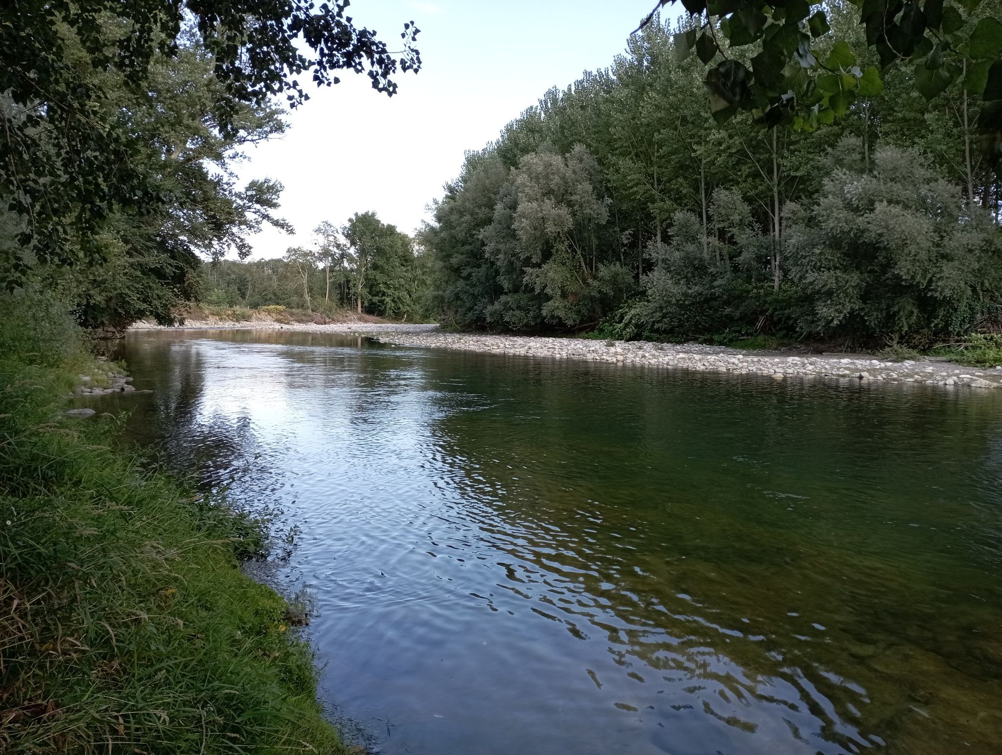 baignade dans la Garonne