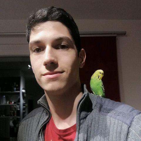 user avatar