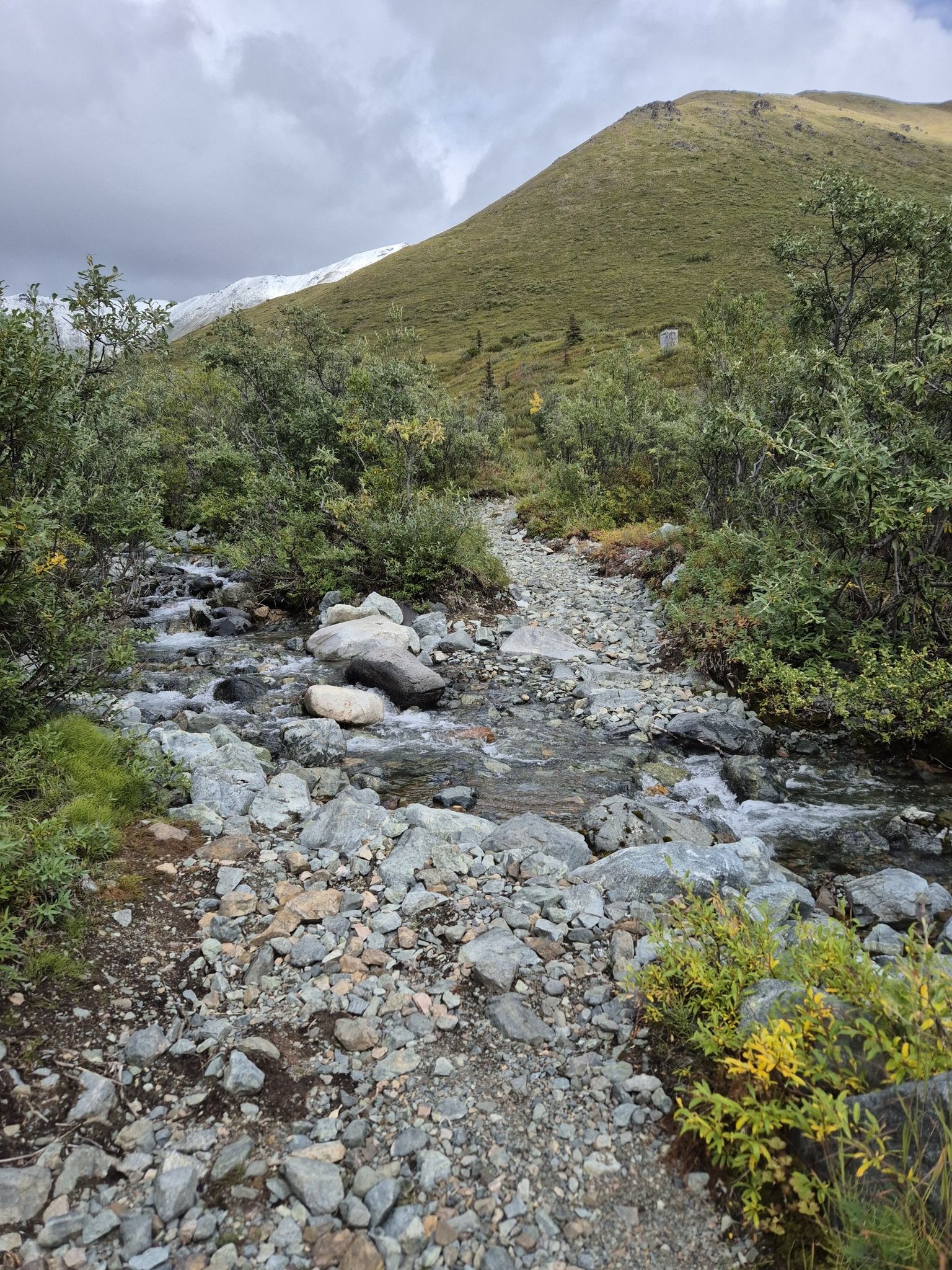 Rocky stream crosses a path leading to a green mountain under cloudy skies. - Caribou Creek Trail