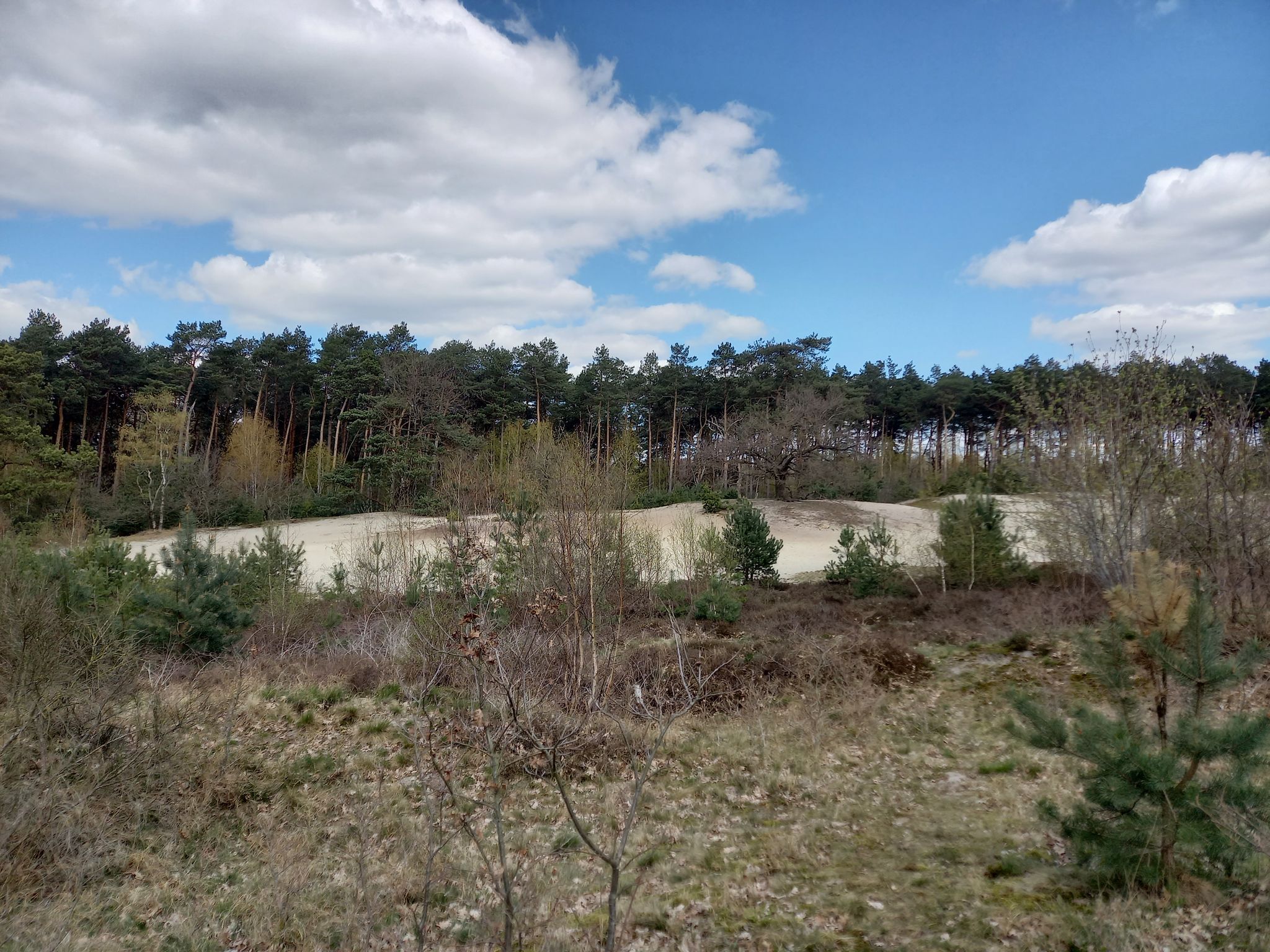 Die Sanddühnen (Voßberge)