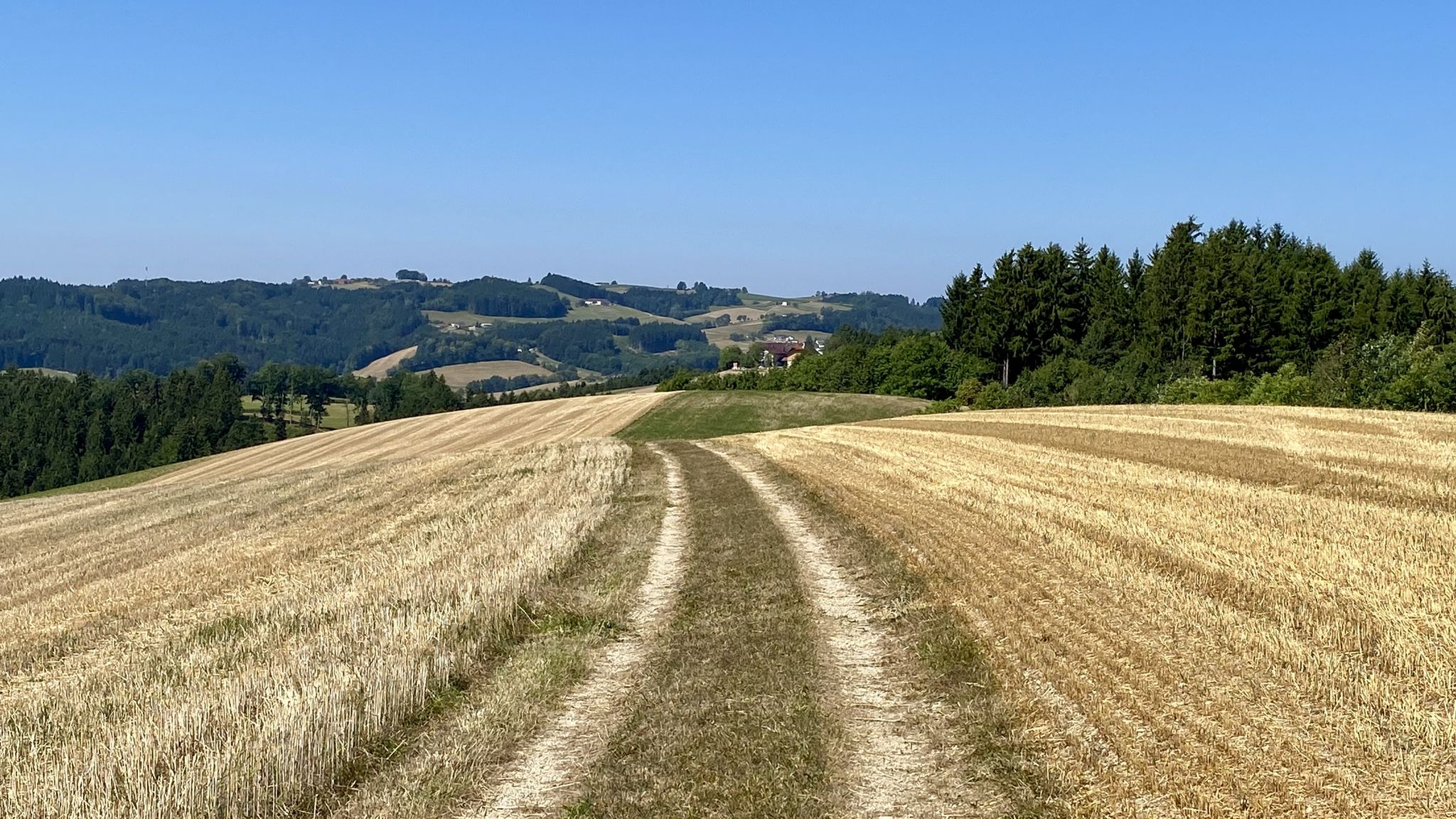 Hügelkette Gaisberg im Westen