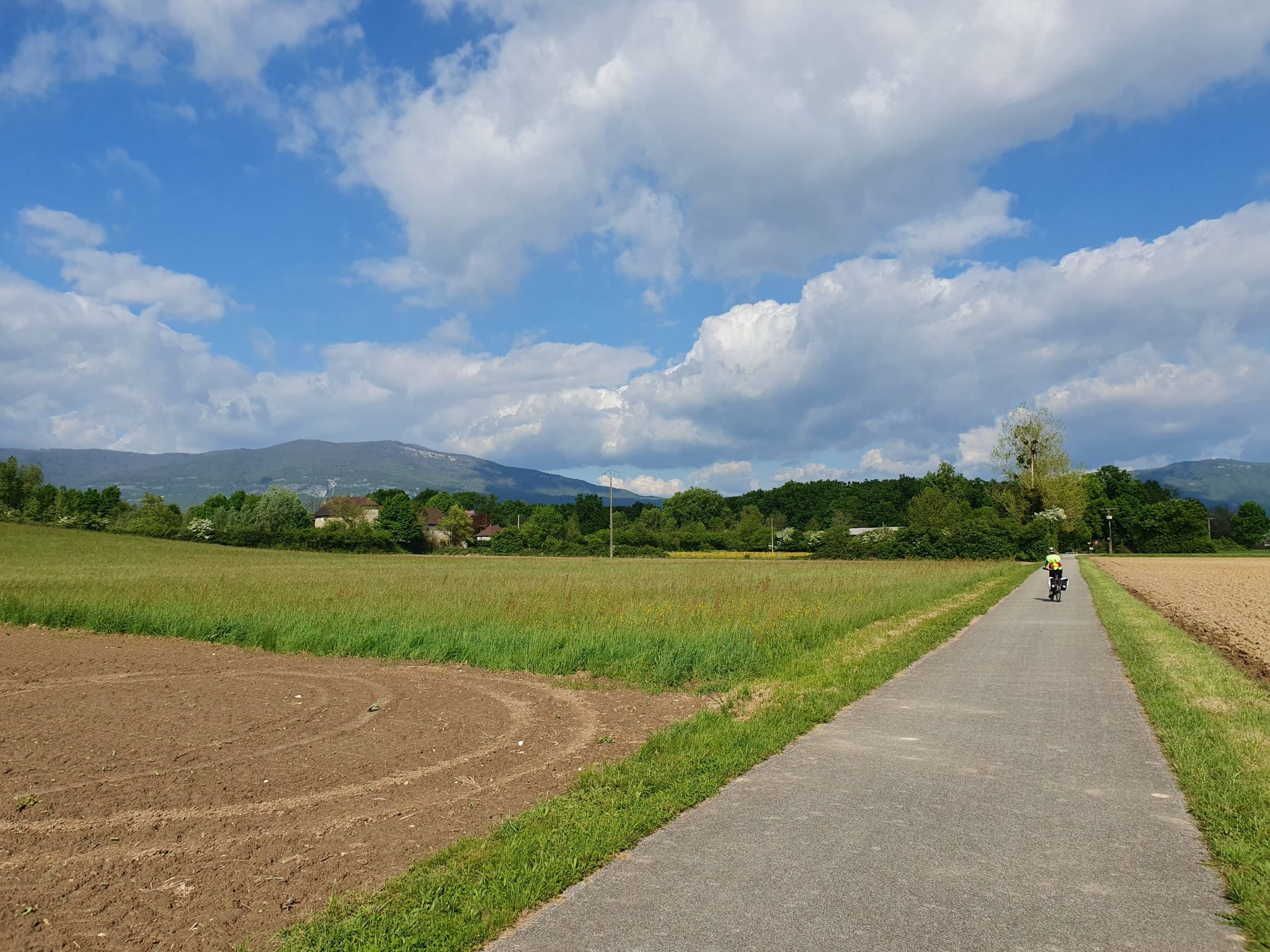 Nun beginnt das Chartreuse