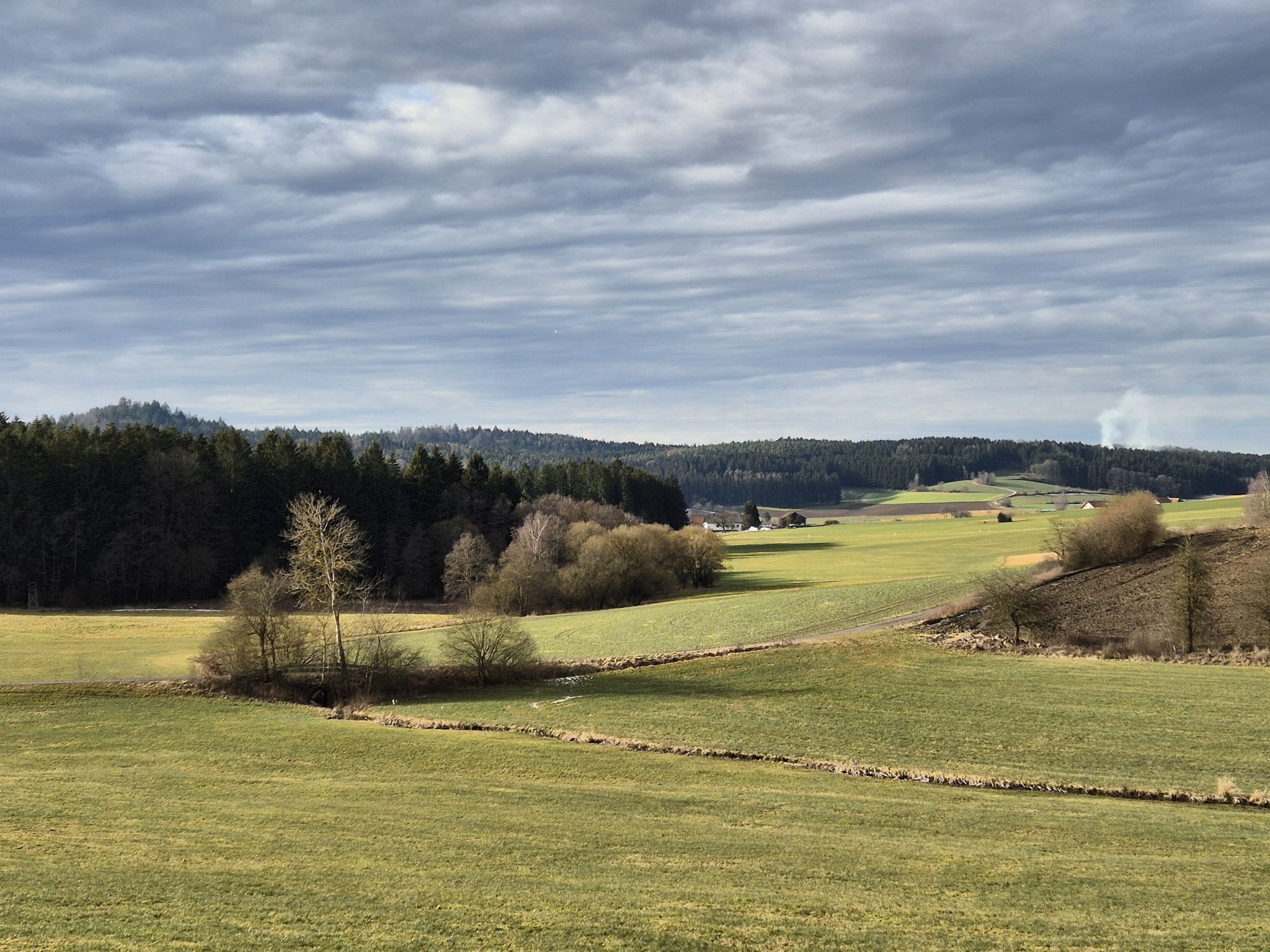 Bei Holzhaus