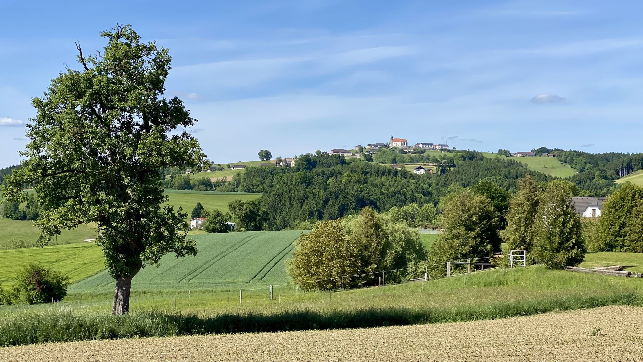 Habersdorf -> Kollmitzberg