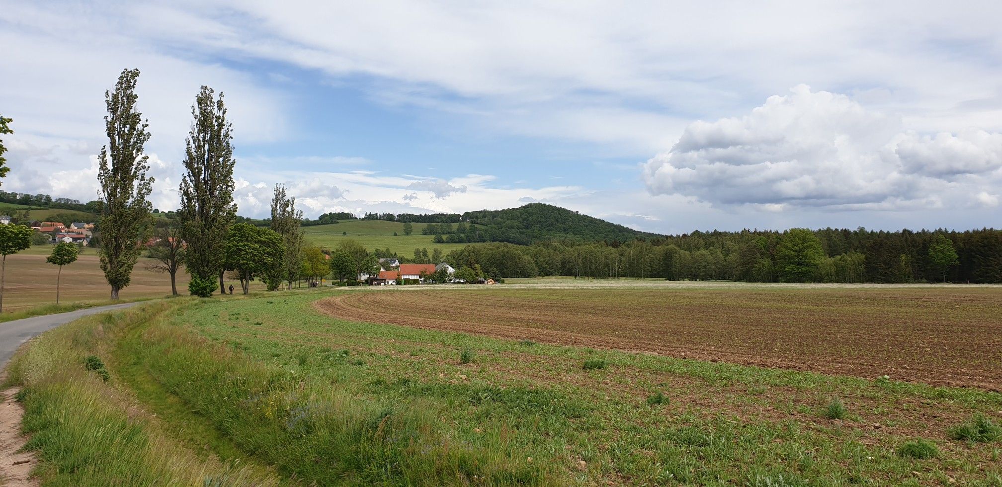 Wilisch von Südwesten