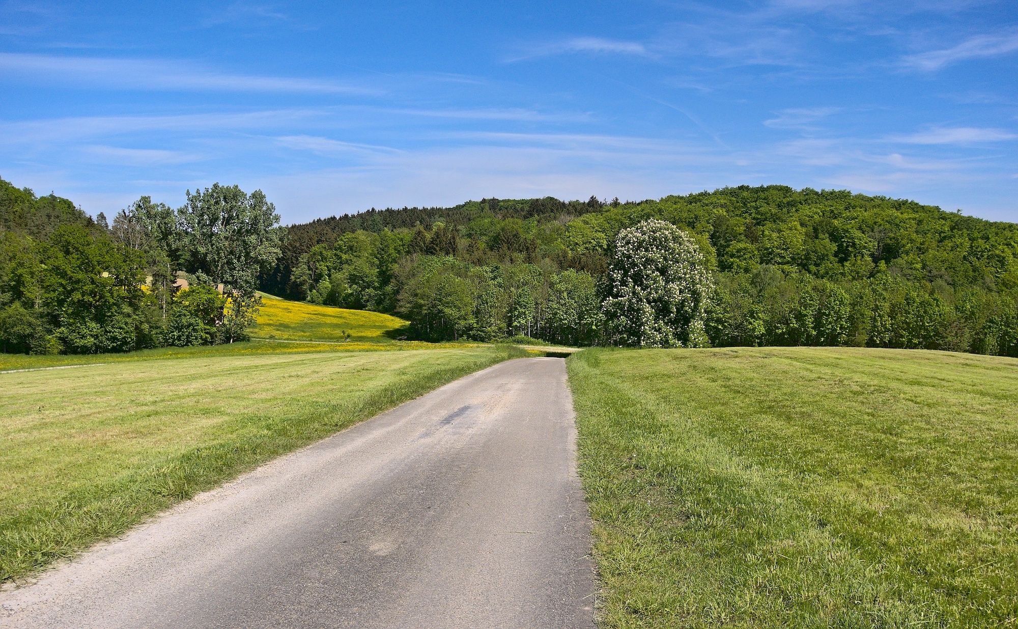 Abfahrt von der Kapelle nach Unterliezheim