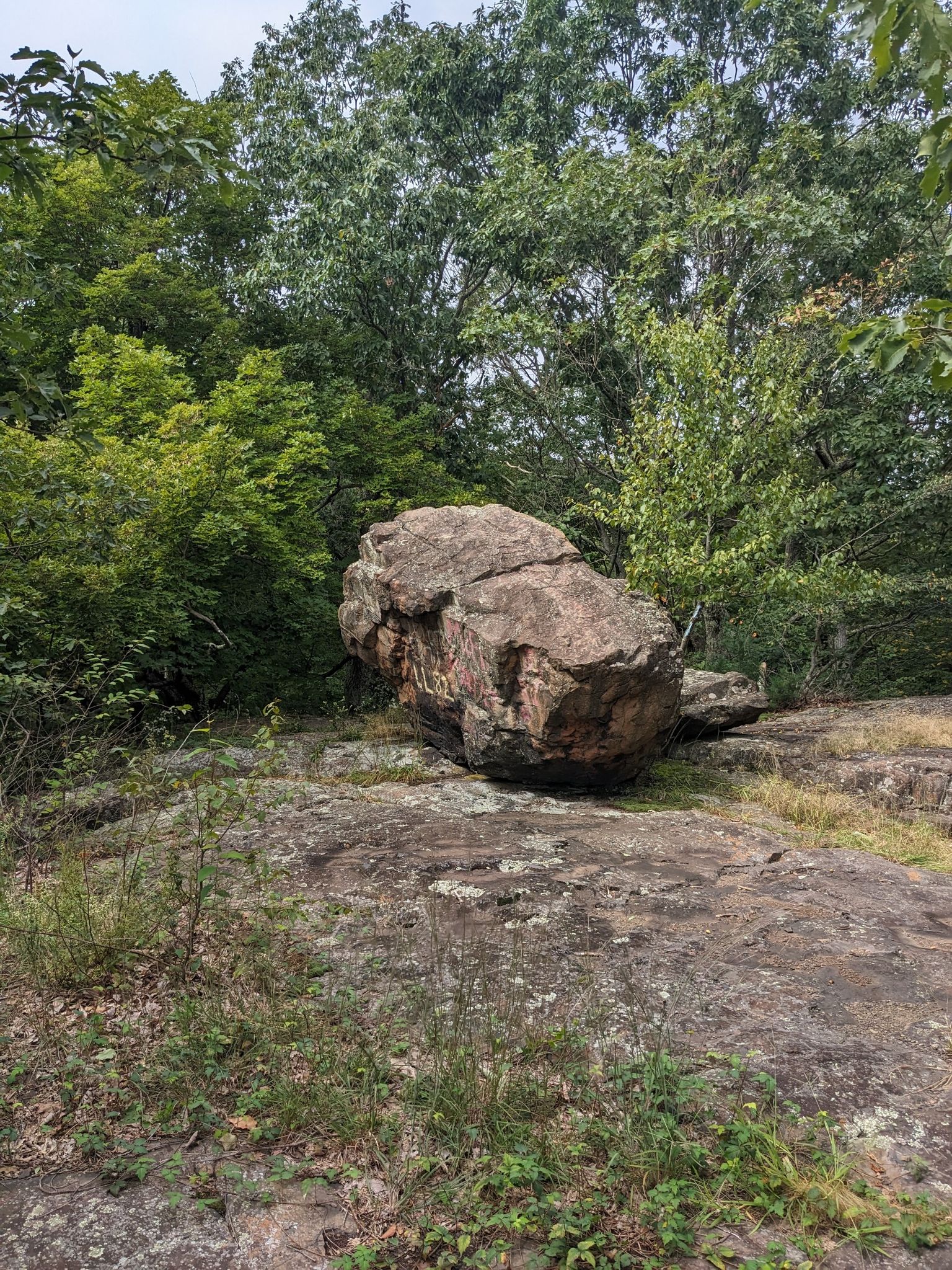 Large, mossy boulder rests on a flat rock surface surrounded by green trees. - Hartford Reservoir Number 5 – Killkenny Rocks loop from Town of Farmington Property