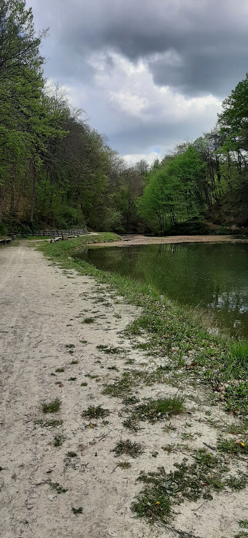 lago dei pini