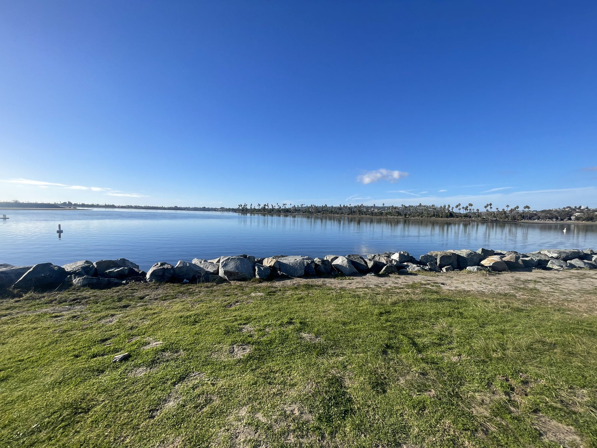 Sunny view of calm water, a rocky shore, and green grass. - Mission Bay Bike Path