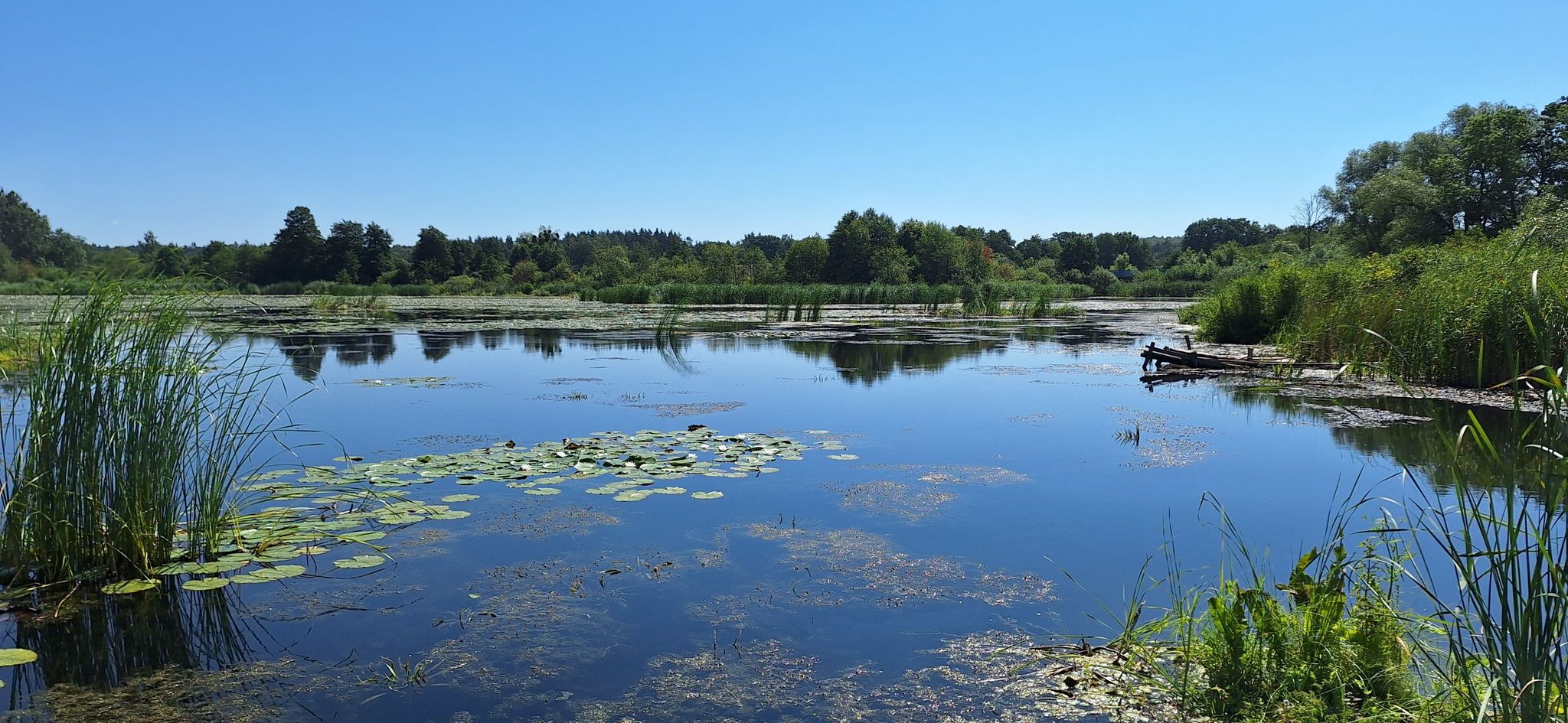 Jezioro Sobowidzkie