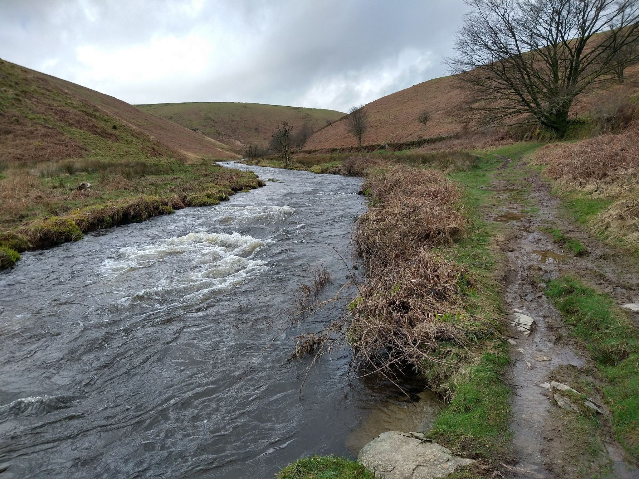 River Barle