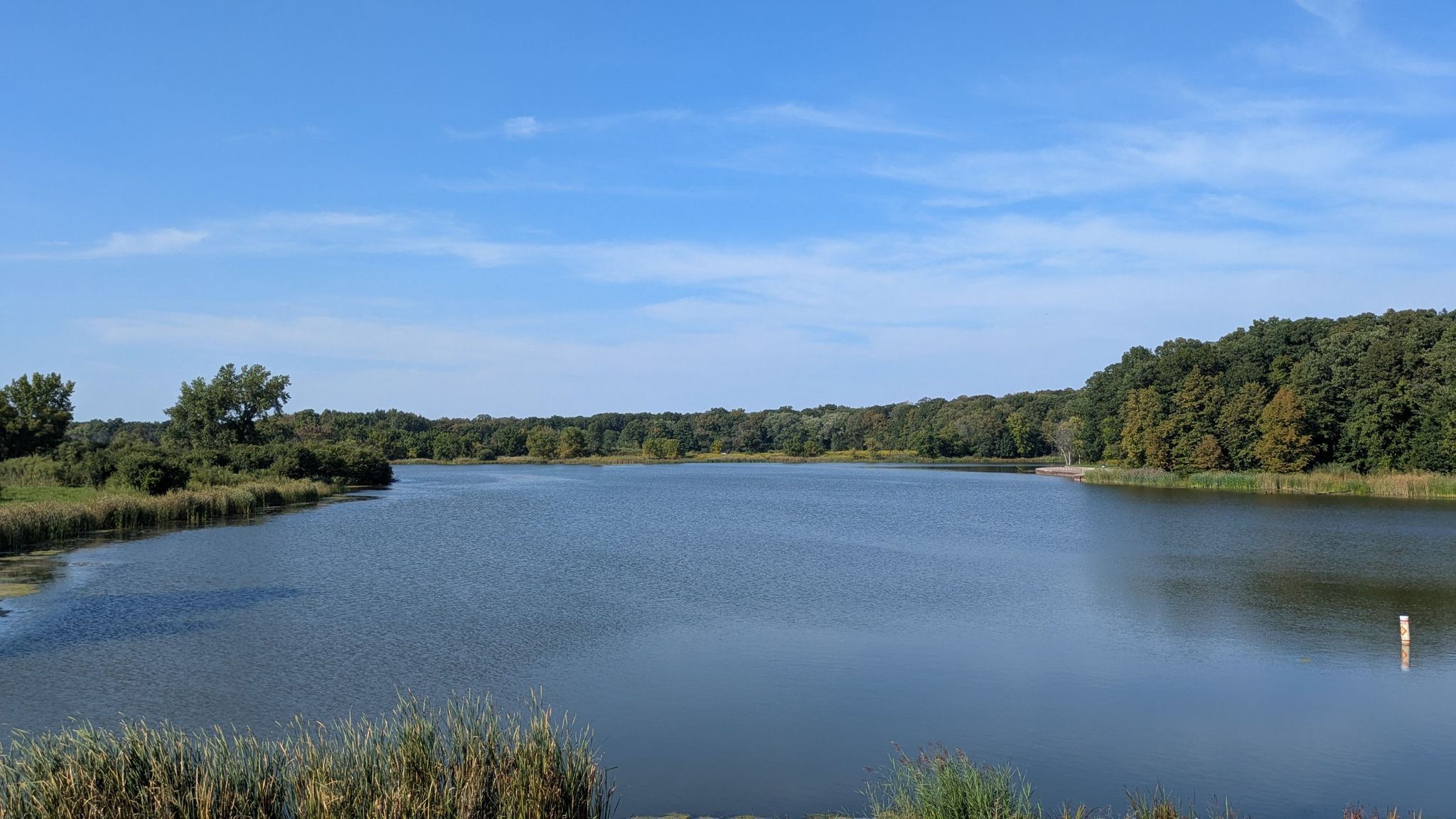 Wide lake under a blue sky, surrounded by green trees and distant hills. - Busse Woods Red Loop Trail – Busse Woods Reservoir Bridge loop from Legoland Discovery Center Chicago