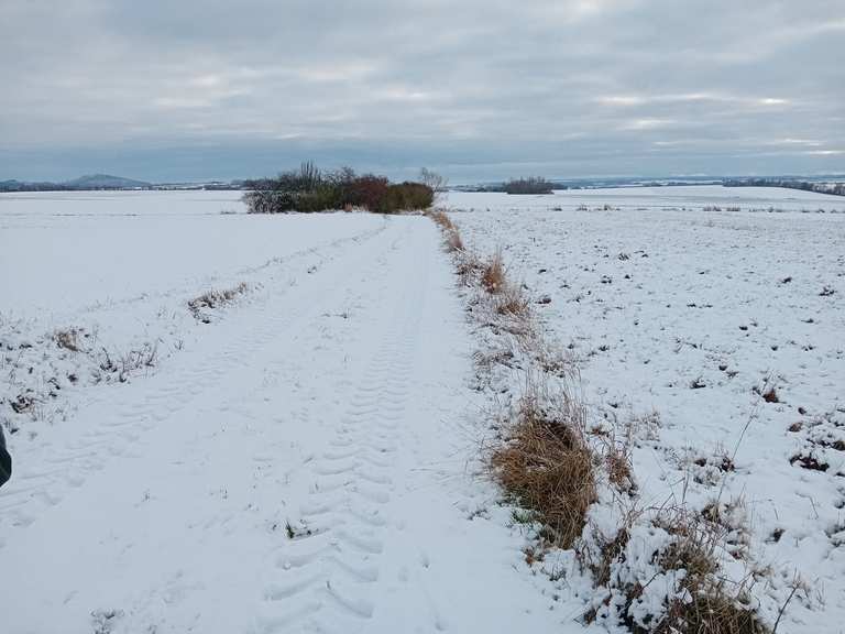 Durch den Schnee stapfen | Wanderung | Komoot