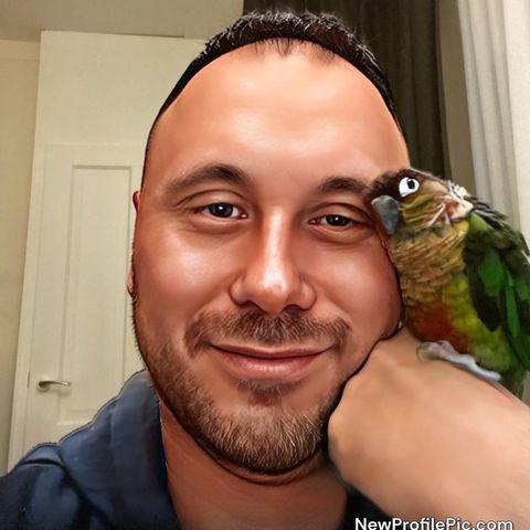 user avatar