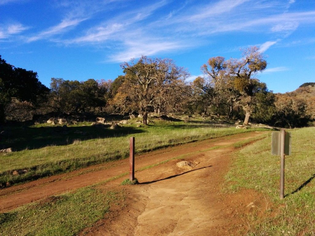 A dirt path through a sunny, grassy field with scattered trees under a blue sky. - Volvon and Blue Oak Loop Trail