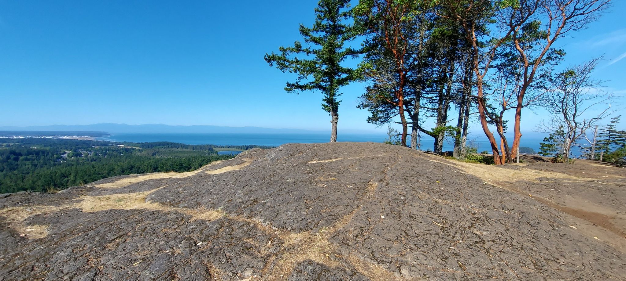 Rocky outcrop on a hilltop with scattered trees, overlooking a distant ocean. - Goose Rock Summit Trail