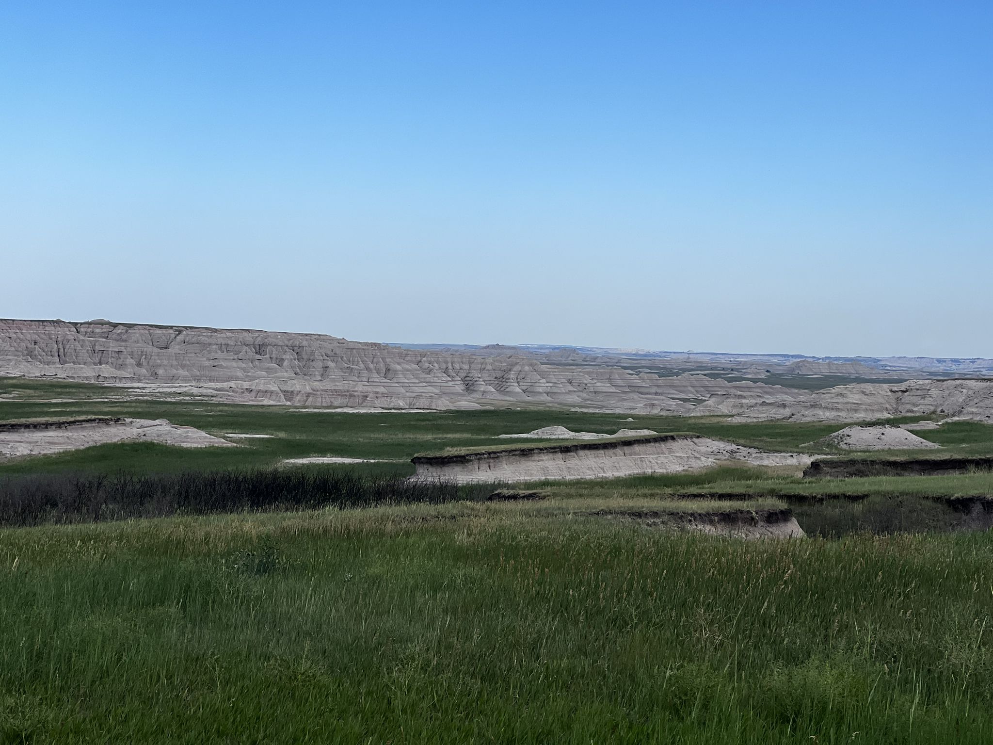 Expansive green grassy plains with distant layered badlands under a clear sky. - Northeast Loop