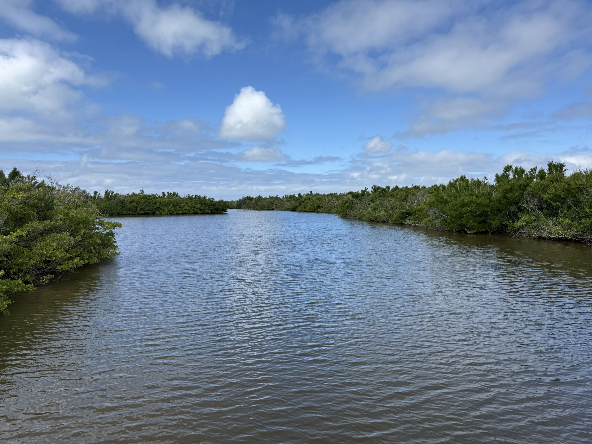 Wide river flowing between dense green trees under a bright, cloudy sky. - Bowman's Beach Park