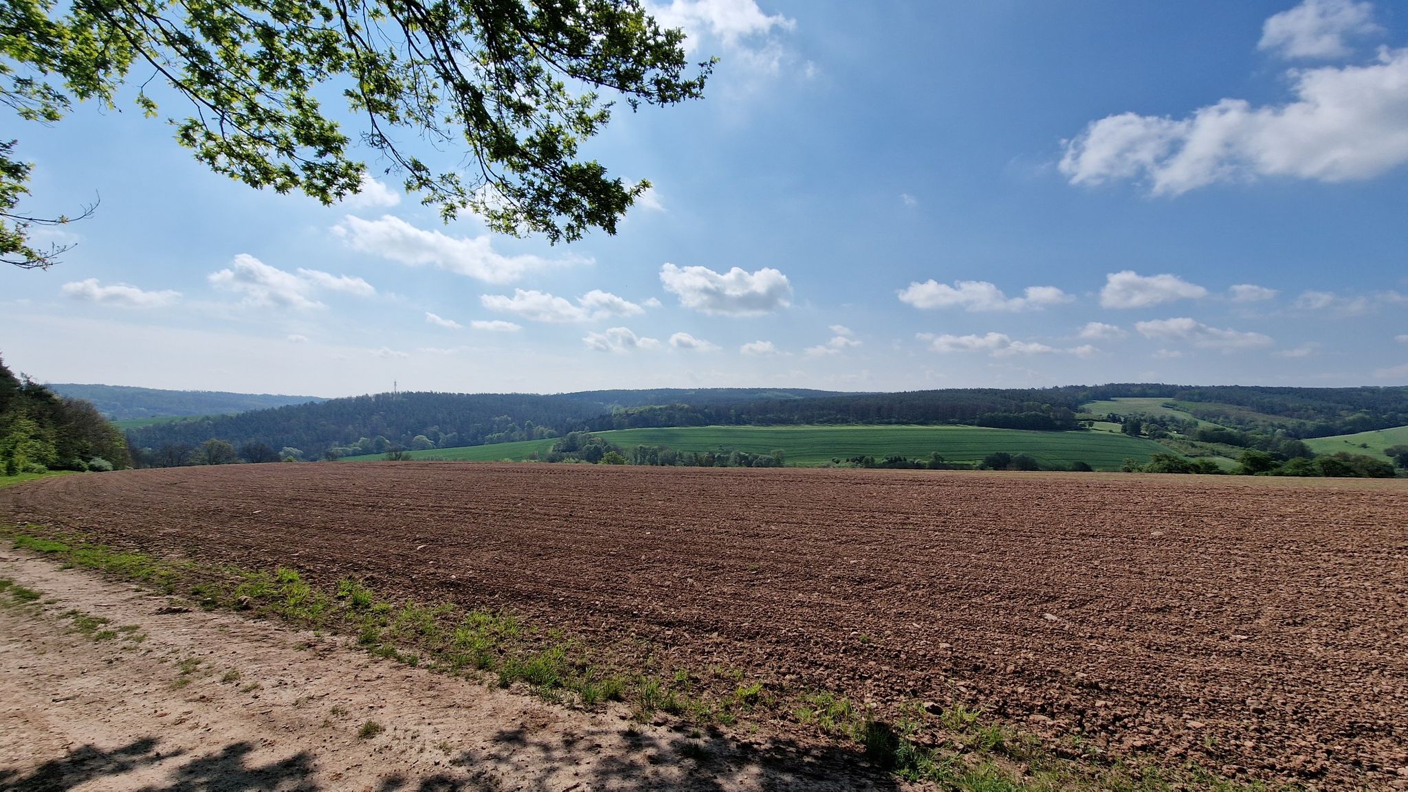 Eine schöne Aussicht