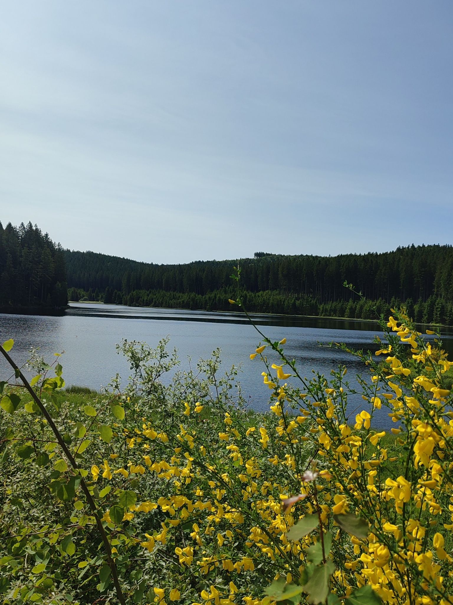 Dürnbergteich