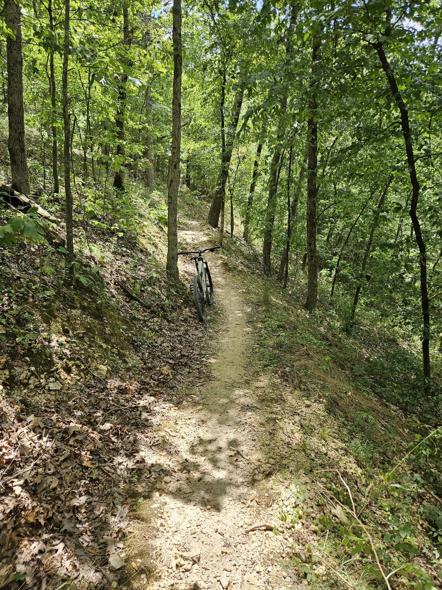 A mountain bike rests on a sun-dappled dirt trail in a green forest. - Huntley Gravity Zone – Tanyard Creek Falls loop from Bella Vista