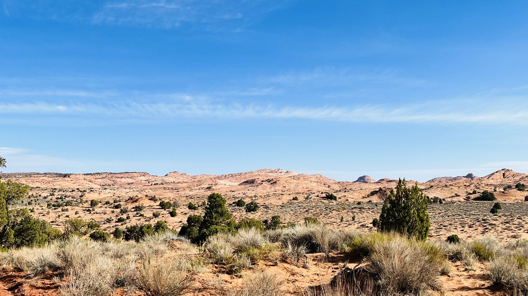 Vast desert landscape with sparse vegetation under a clear blue sky. - The Volcano / Cosmic Ashtray