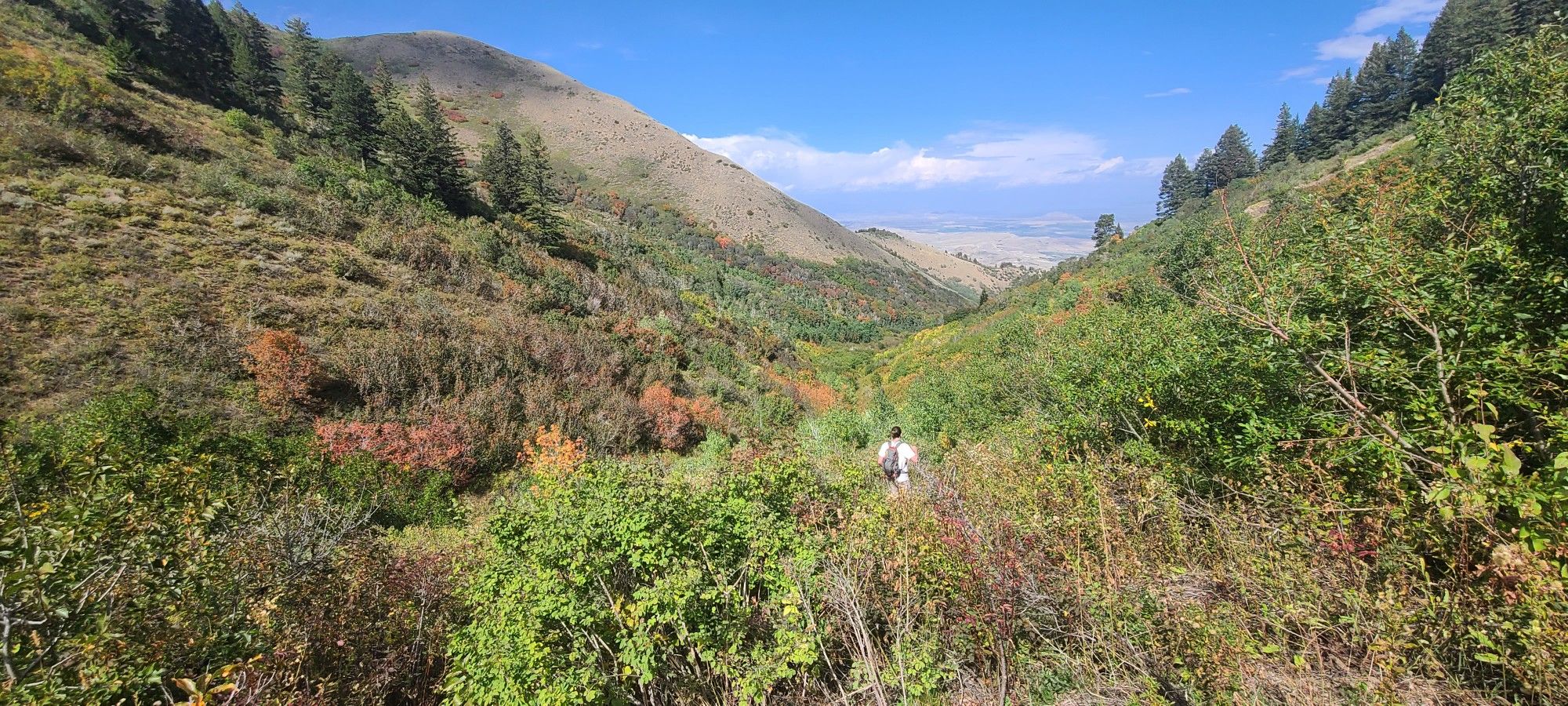 A person hikes through a lush, green mountain valley under a blue sky. - Mendon Peak Trail