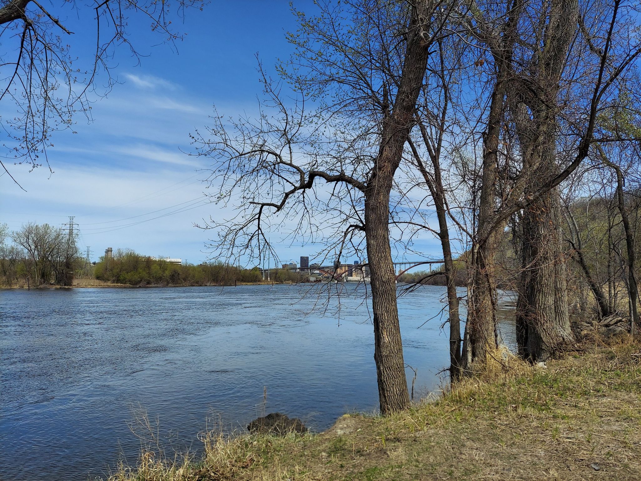 Wide river with bare trees on the bank under a bright blue sky. - Mississippi River Trail