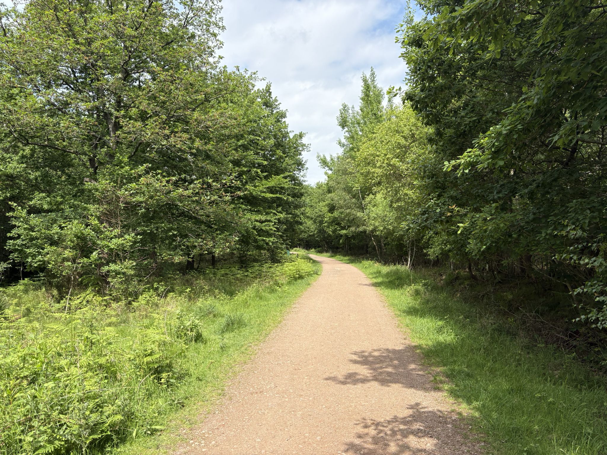Haugh Wood Butterfly Trail