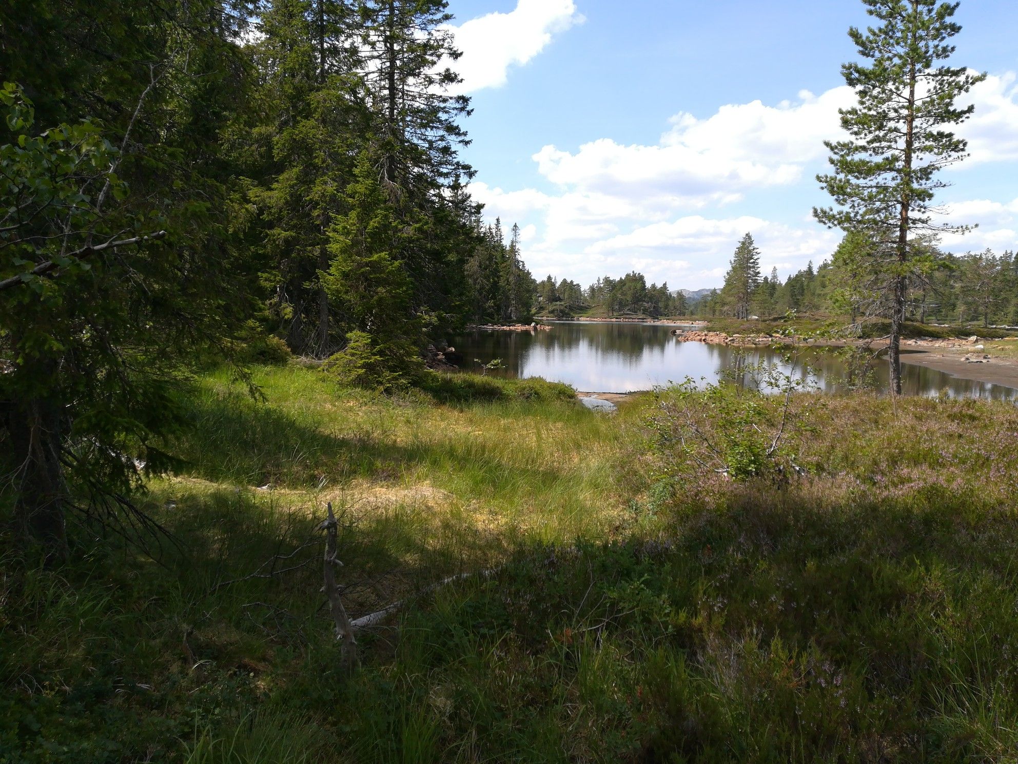 Nasvatan