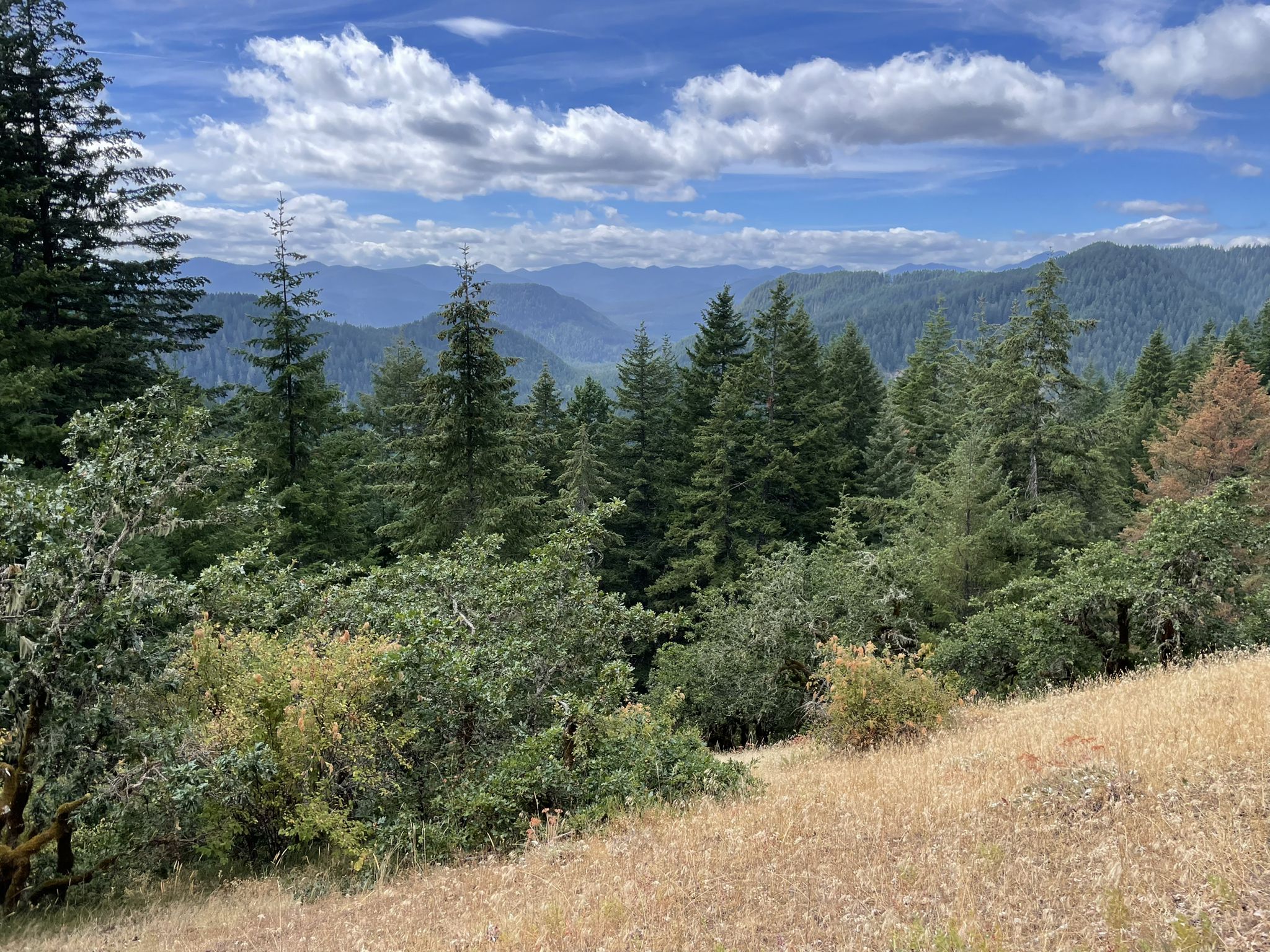 Expansive forest view with distant mountains under a partly cloudy sky. - Pacific Crest Trail from Panther Creek