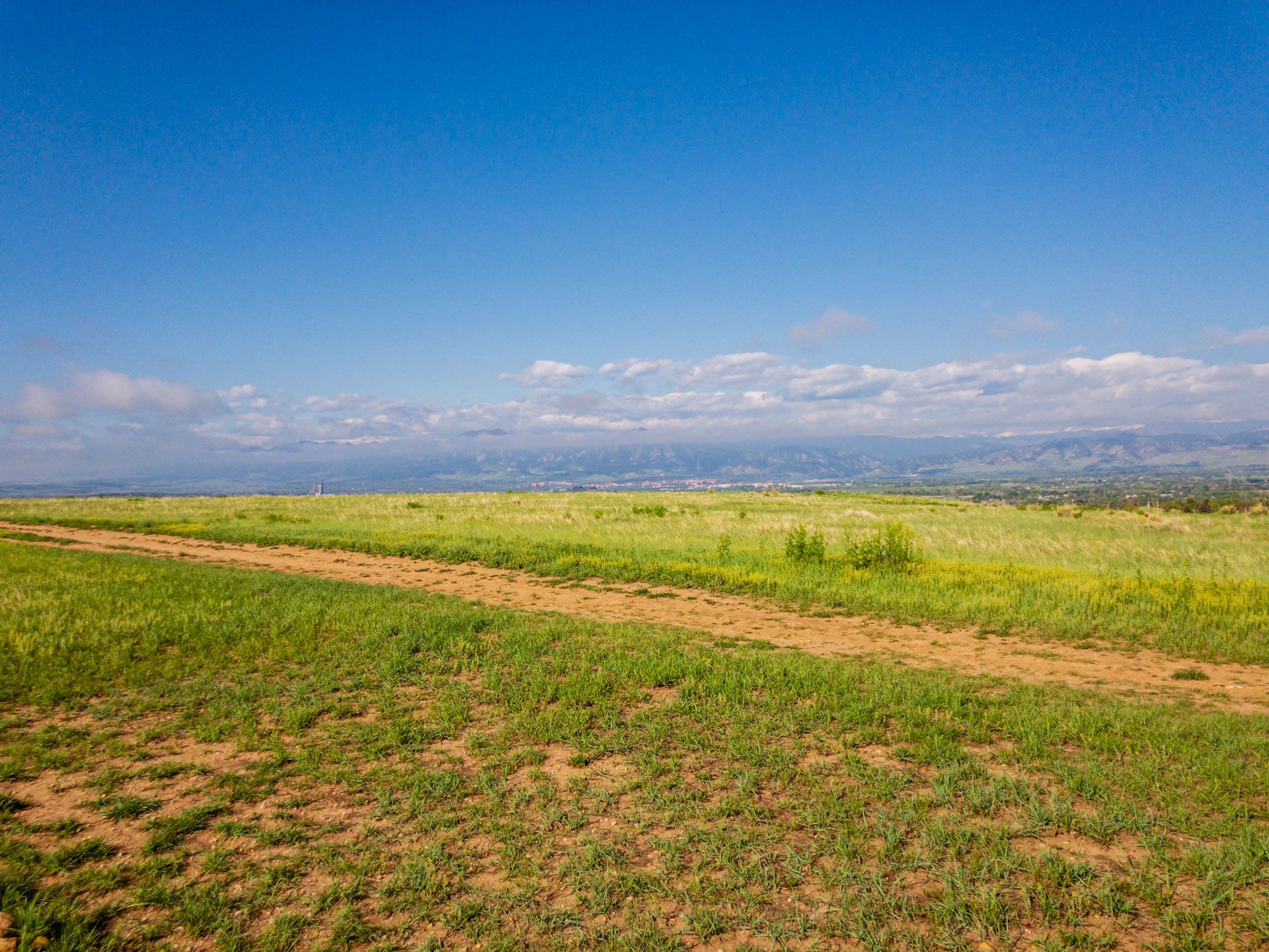 A dirt path cuts through a vast green and brown field under a blue sky. - Gunbarrel East Boulder Trail Loop