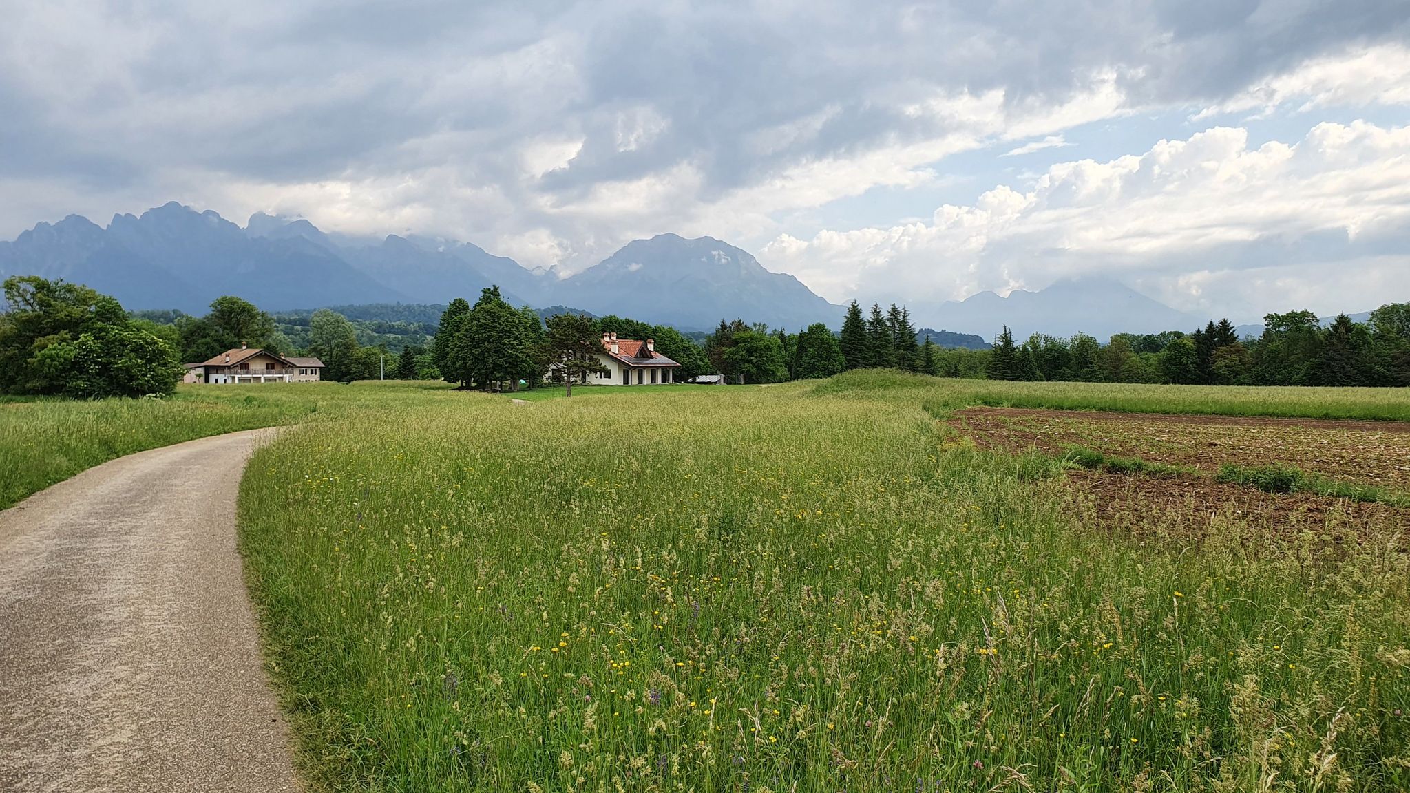 Allgäu?