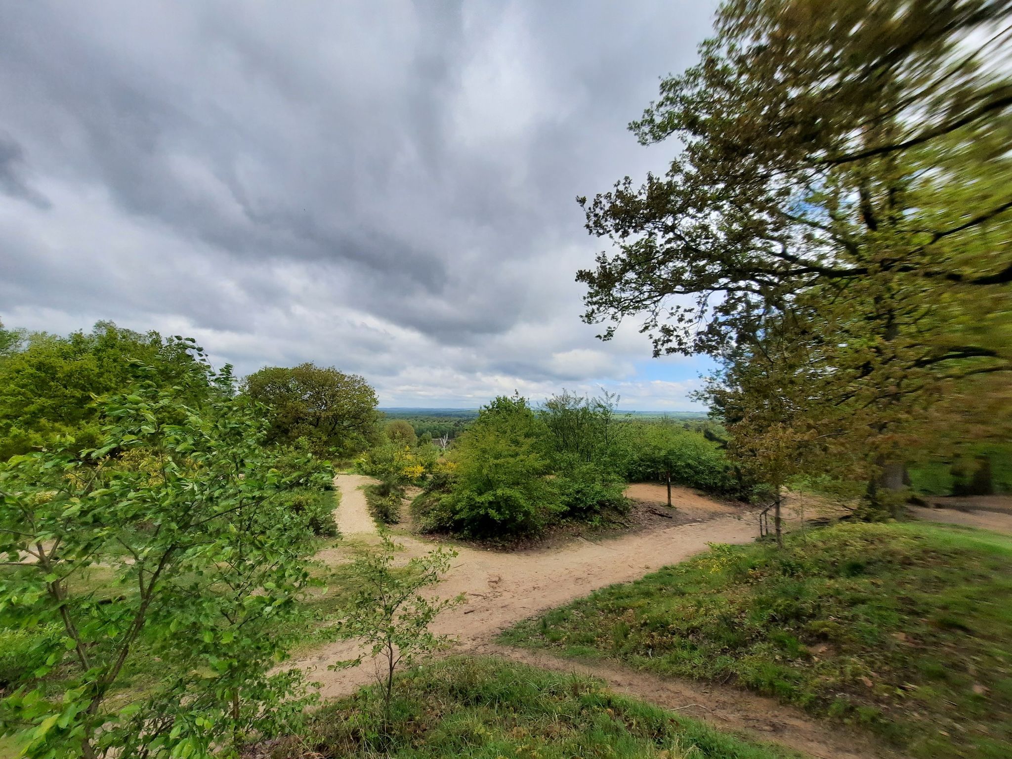 Telegrafenberg Wahner Heide