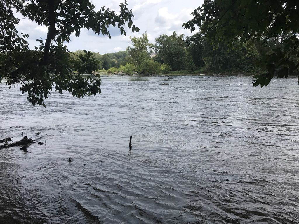 Wide river with ripples, framed by green trees under an overcast sky. - Potomac Heritage Trail to Watkins Island Overlook