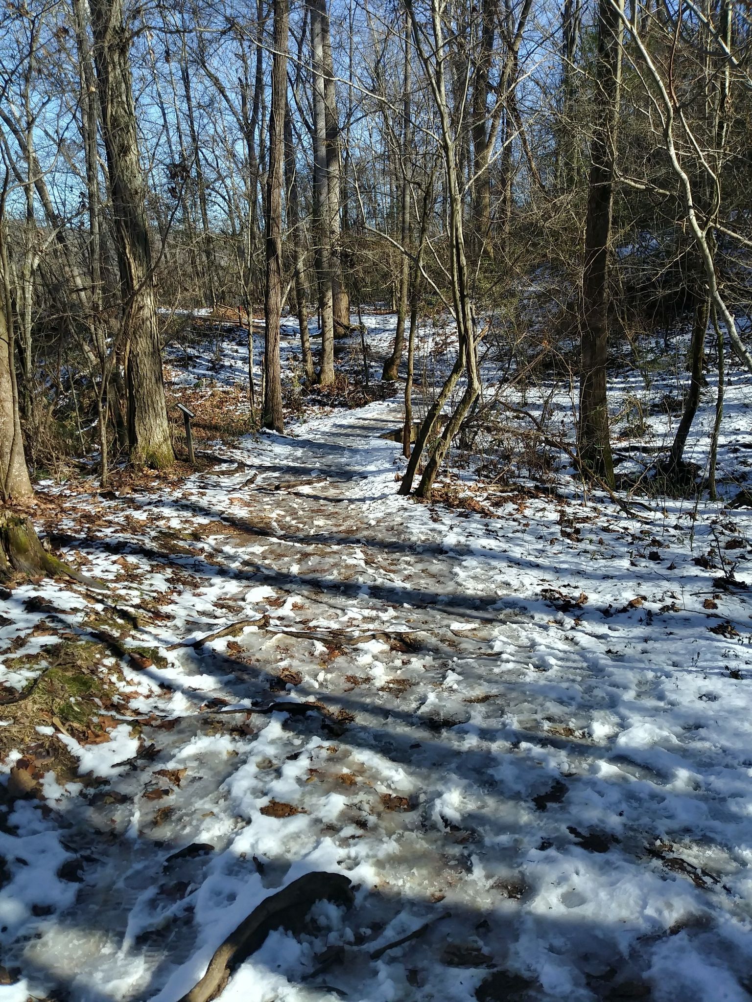 A forest path covered in patchy snow and ice under bright sunlight. - Riverbend Park Blue and Red Trail Loop