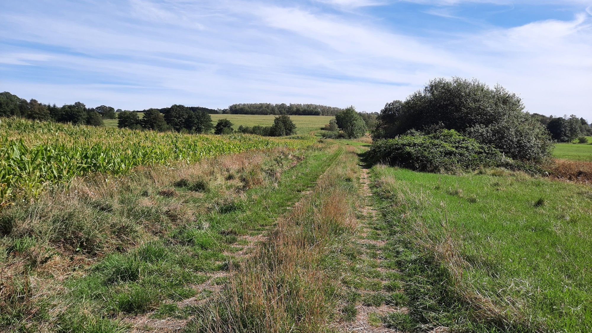 ehemaliger Grenzweg