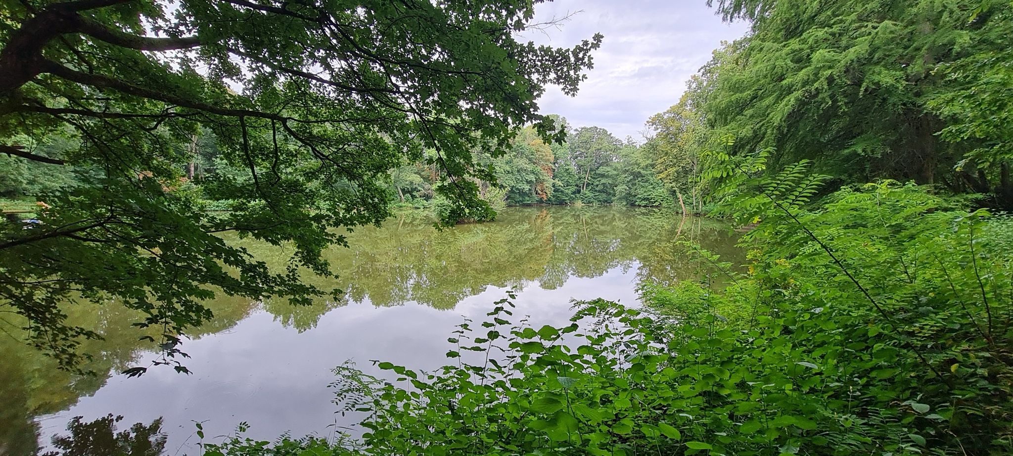 Teich im Schlosspark