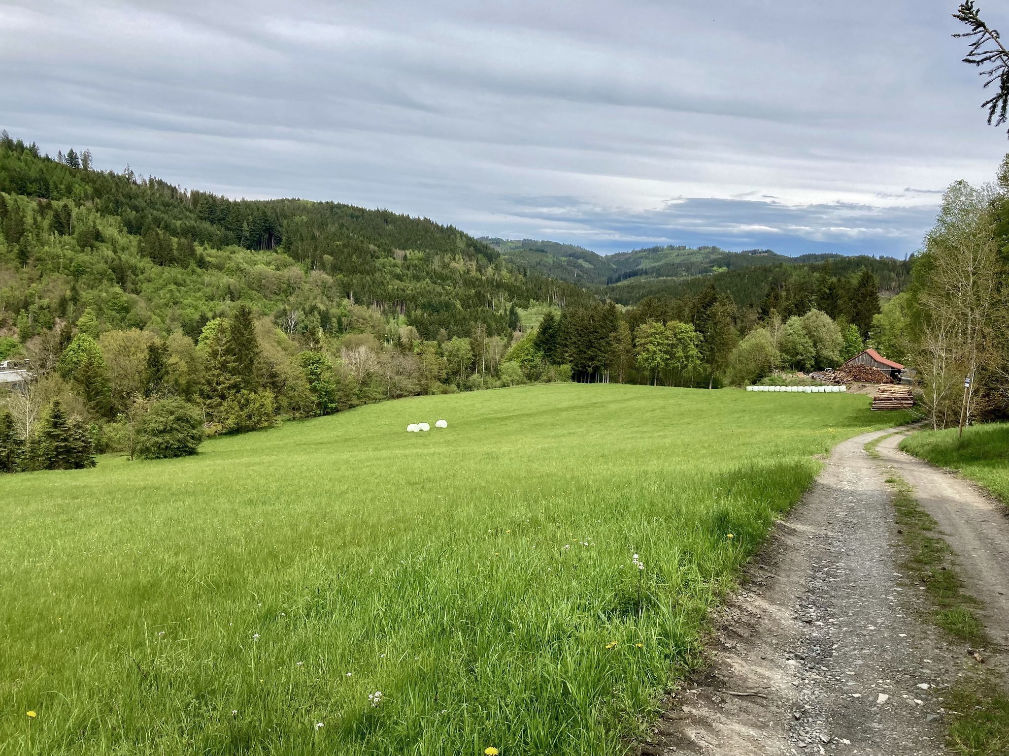 Herrlicher Blick in den Frankenwald