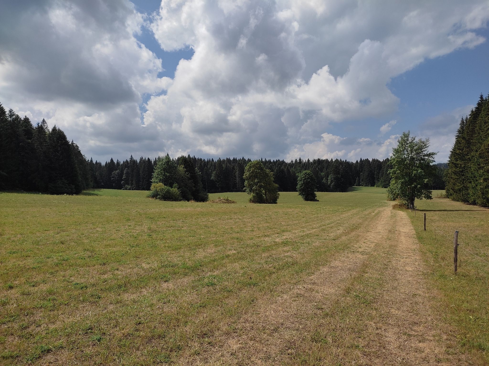 verte prairie