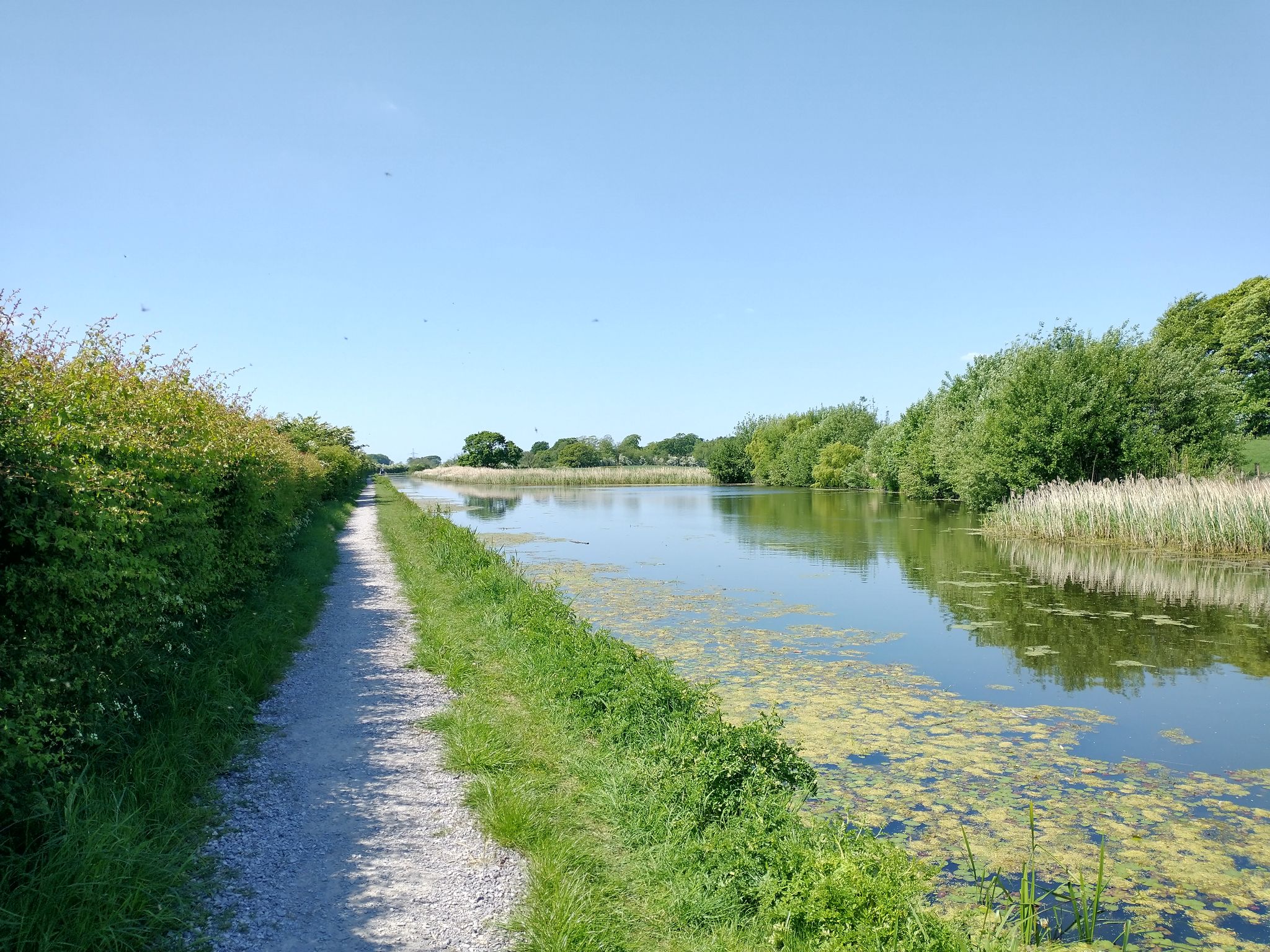 Peace and quiet on the Lancaster Canal