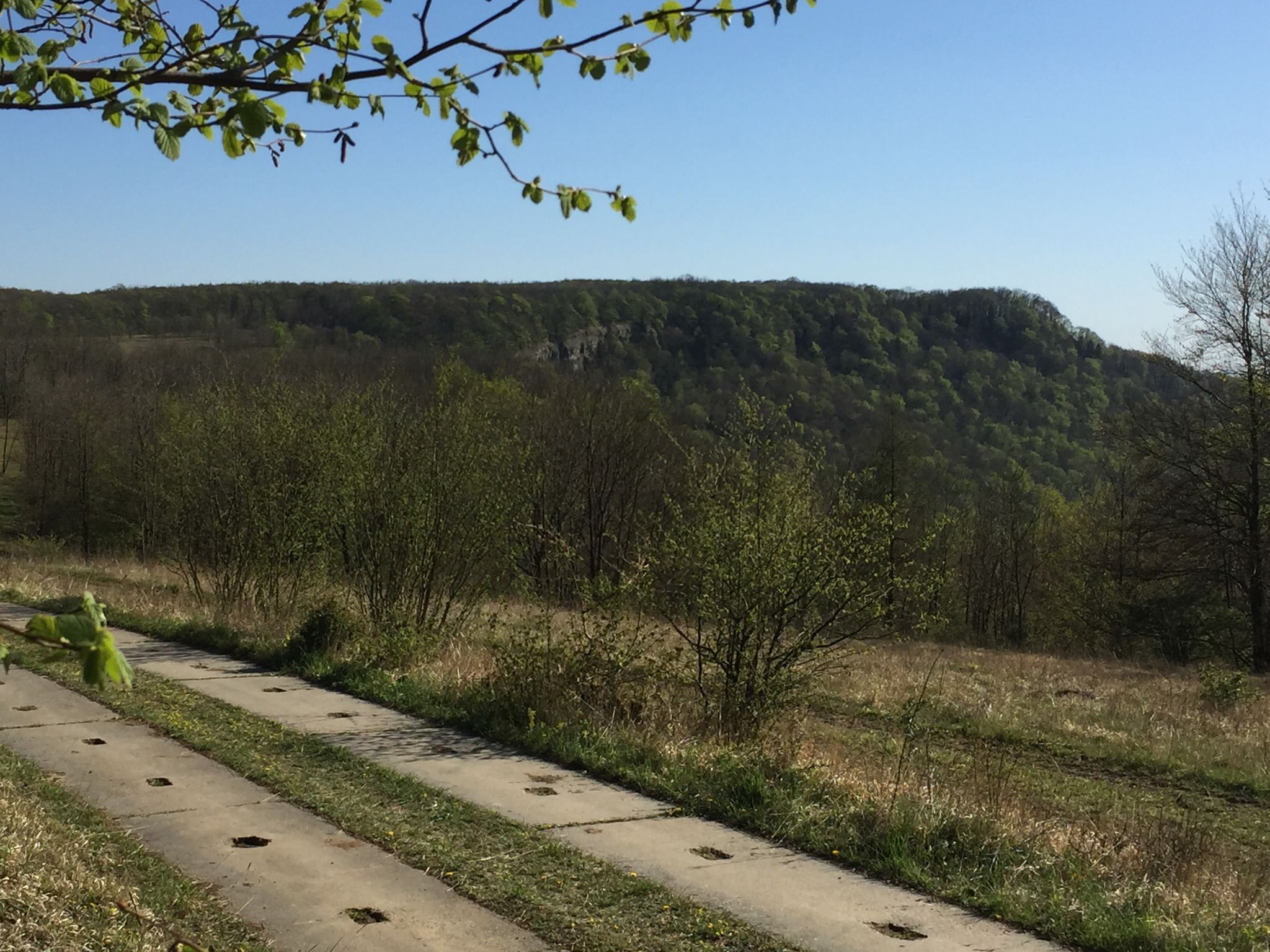 Blick rüber z. “Schönen Aussicht u. Hohenstein“😀