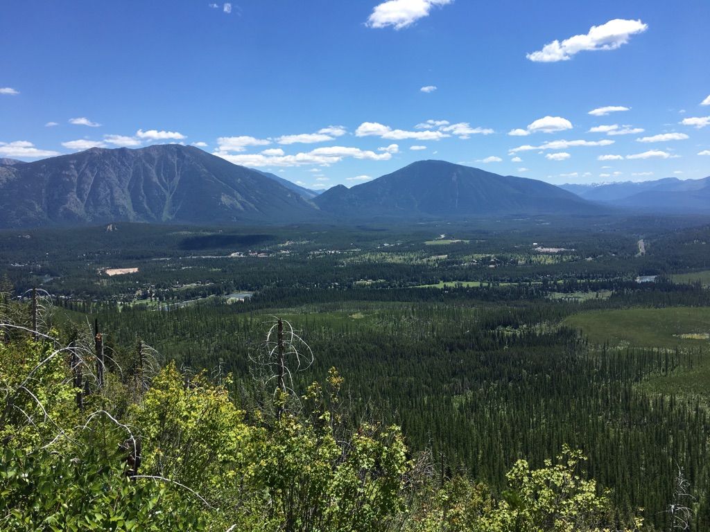 Expansive view of distant mountains, green forests, and a valley under blue sky. - Apgar Lookout Trail