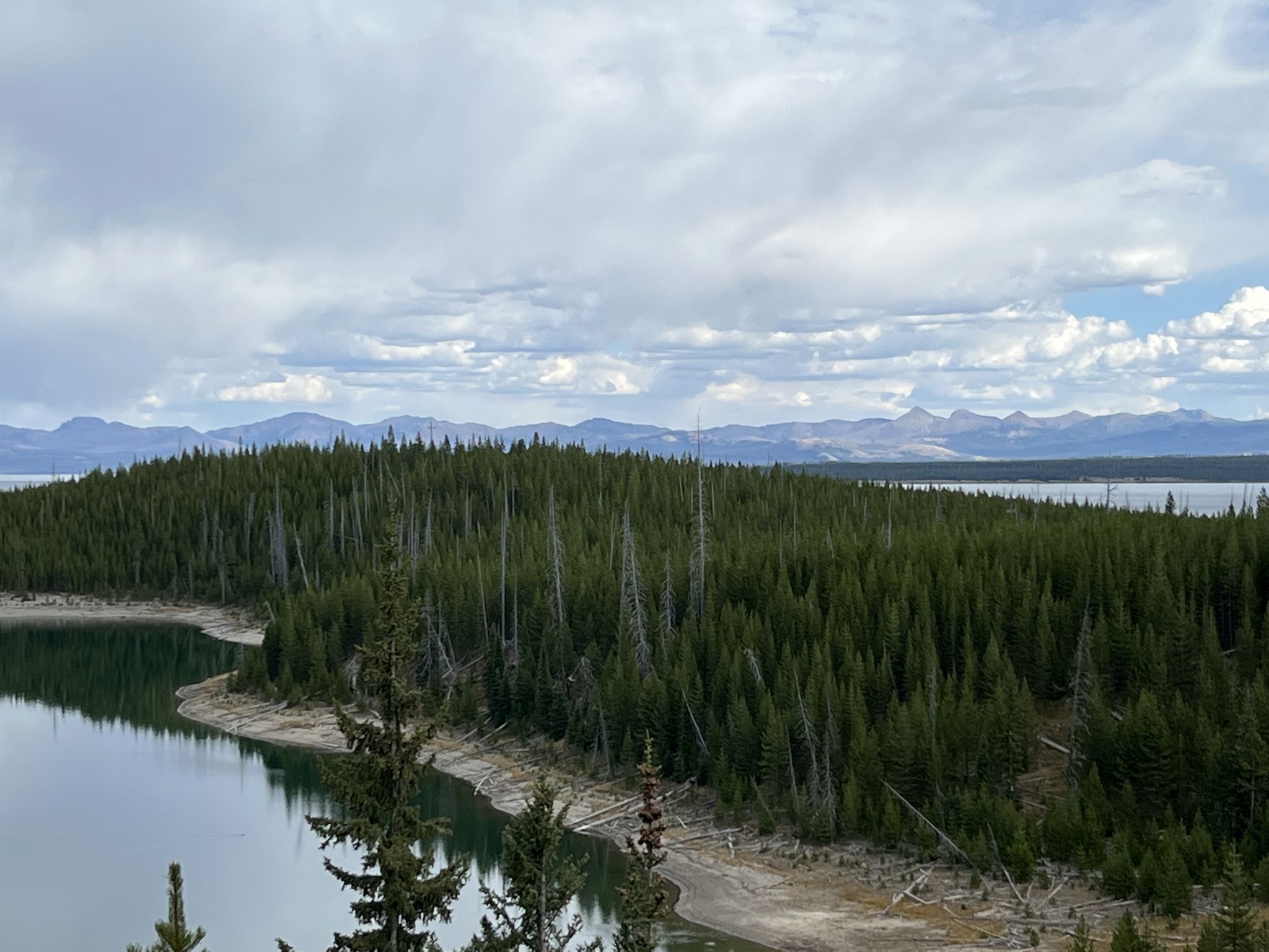 A large lake with a forested island and distant mountains under cloudy skies. - West Thumb Geyser Basin – Morning Glory Pool loop from Grant Village