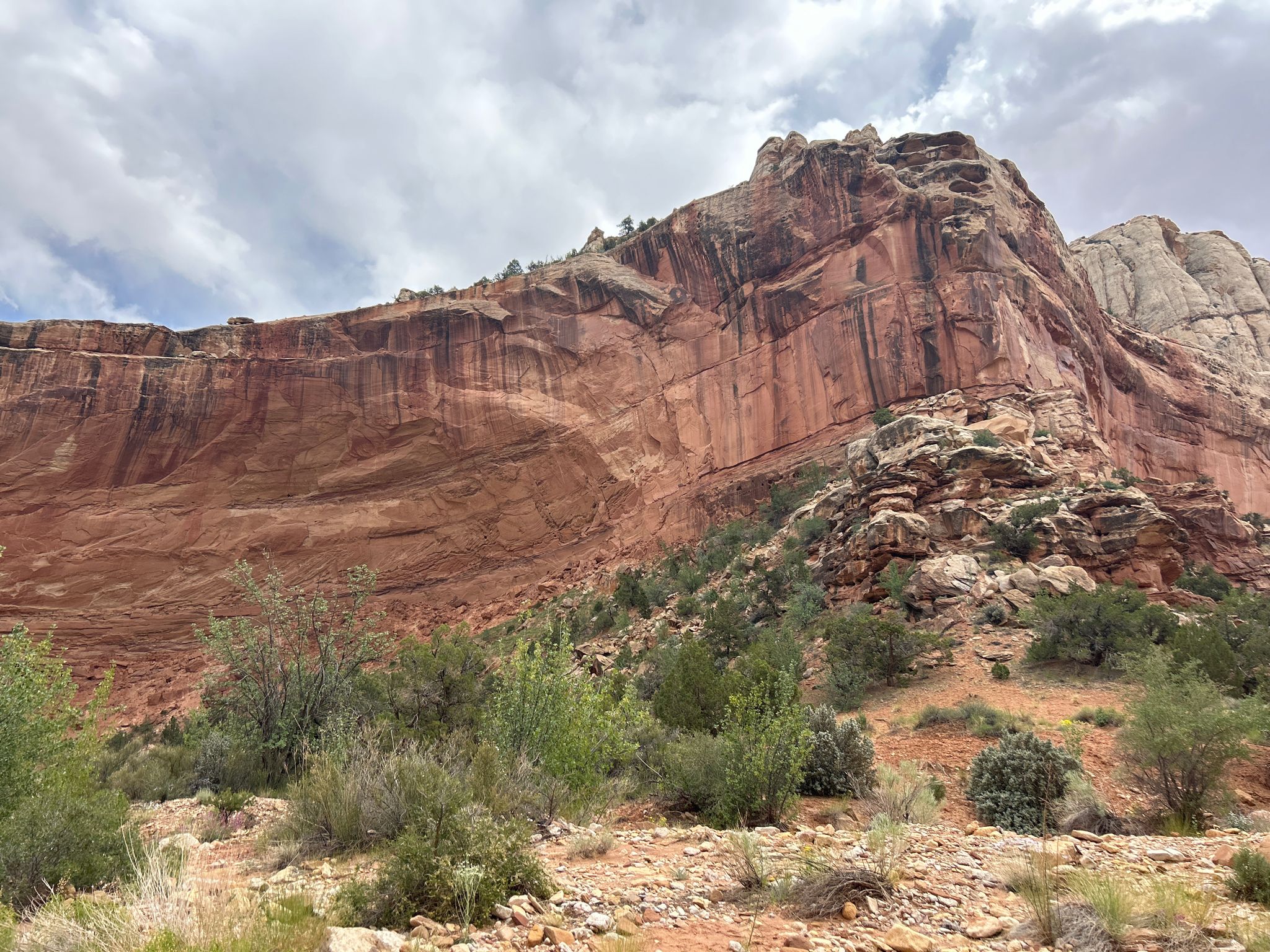 Towering red rock cliff face with sparse green bushes under cloudy sky. - Grand Wash Trail